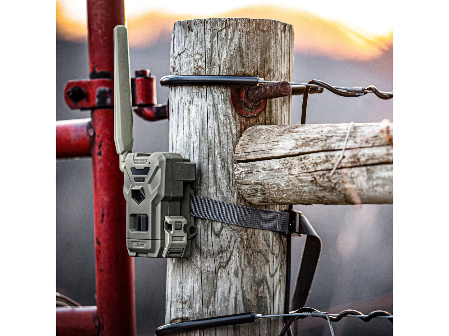 SPYPOINT FLEX-M Wildkamera