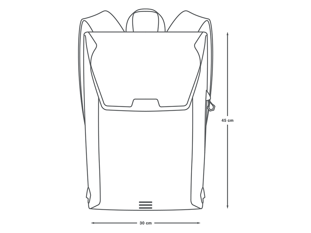 Apidura Backpack (17L)