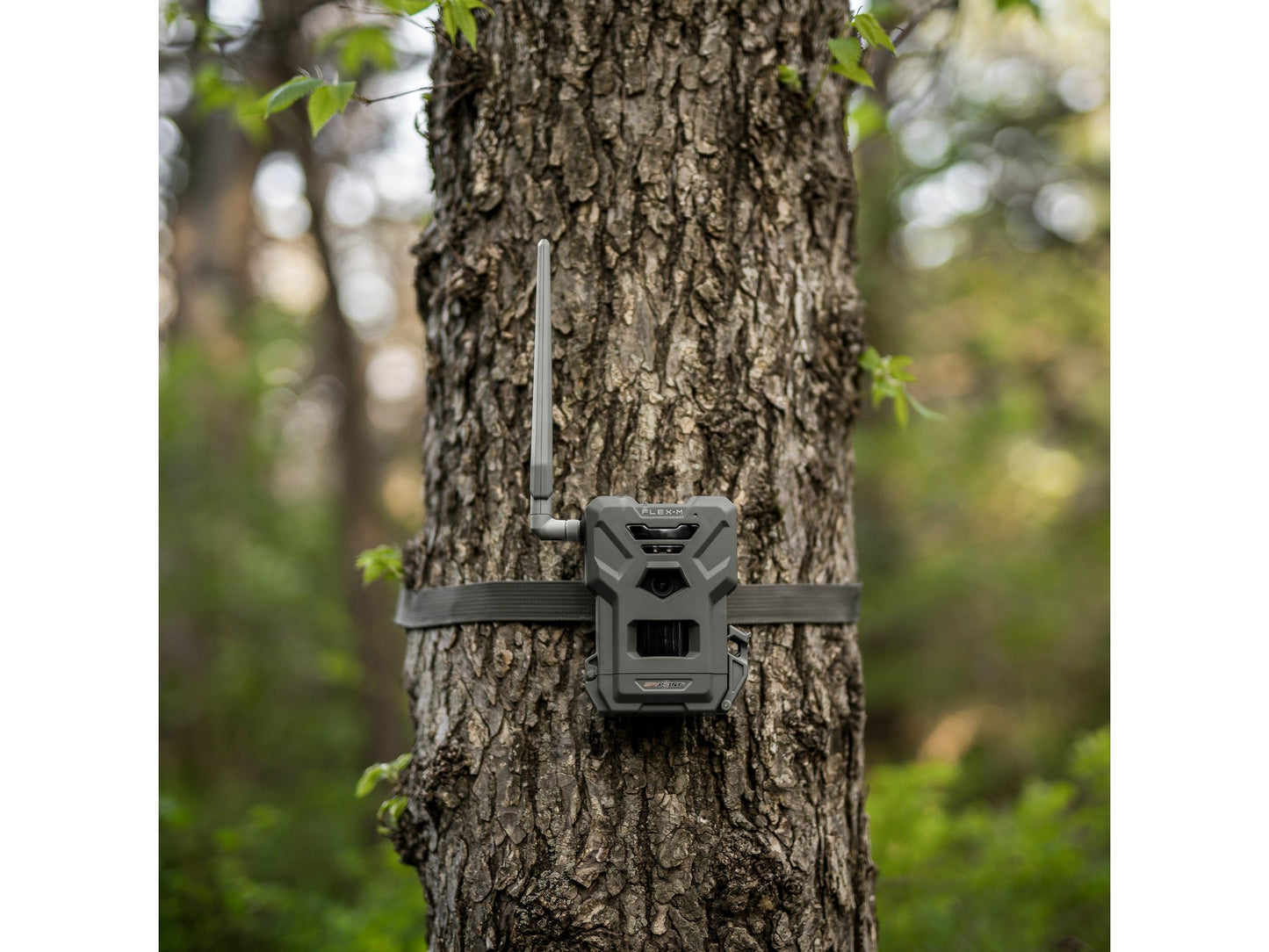 SPYPOINT FLEX-M Wildkamera